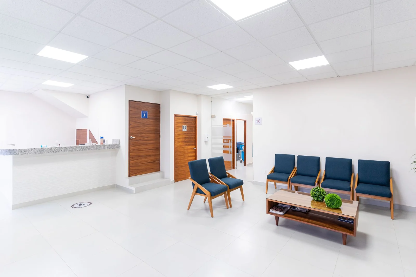 Sala de espera luminosa, con asientos azules y plantas. Fotografía de stock ilustrativa.